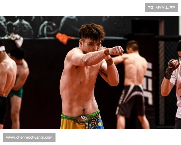 2017李景亮UFC赛事巅峰对决拼搏之路铸就辉煌荣耀