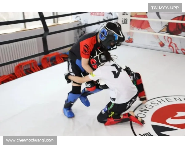 2018综合格斗赛事_2019年综合格斗比赛